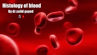 histology of blood by drsaiid guyed [upl. by Gitlow885]