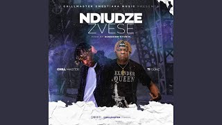 Ndiudze Zvese feat Ti Gonzi [upl. by Maximo397]