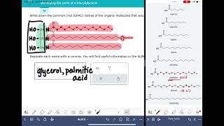 ALEKS Identifying parts of a triacylglycerol [upl. by Iadrahc]