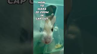 How to make 3D zoom in capcut [upl. by Ynatil]