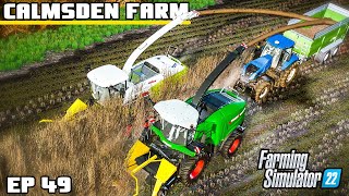 THIS CROP HAS TO GO COMPLETELY  Calmsden Farm  Farming Simulator 22  Episode 49 [upl. by Calica]