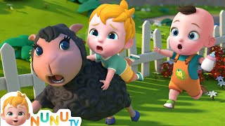 Baa Baa Black Sheep Song  Nursery Rhymes amp Kids Songs  NuNu Tv Baby Songs [upl. by Narak]