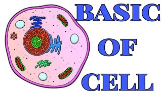 Basics of cell  general concepts of cell  Introdution of cell [upl. by Silsby]