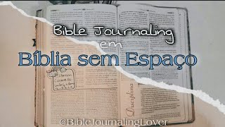 Faça Bible Journaling em Bíblia sem espaço [upl. by Eveivenej]