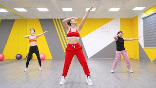 20 min Stubborn Belly Fat and Slim Waist Exercise  AEROBIC DANCE [upl. by Serafine]