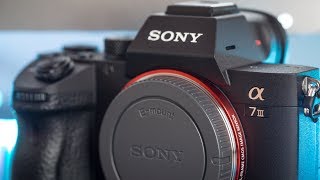 Sony A7iii Low Light Review  Is it Really that Good [upl. by Liatris]