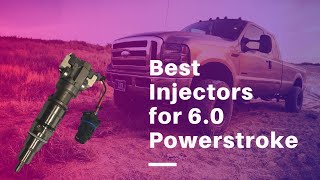 Best Injectors for 60 Powerstroke  Top 5 Injectors of 2020 [upl. by Hutson]