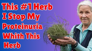 The Herb That Stopped My Proteinuria – Unbelievable Results [upl. by Mirilla938]