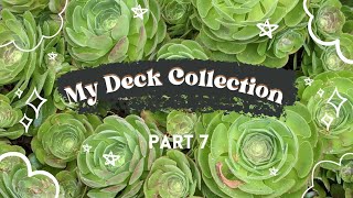 Deck Collection Part 7 Indie Oracle Decks [upl. by Nich]