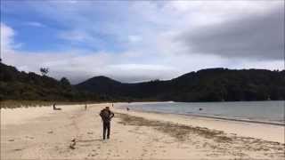 Rakiura Track Stewart Island New Zealand ニュージーランド ラキウラ・トラック（スチュアート島） [upl. by Nivat]