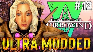 Lets Play Modded Morrowind  The Adventures Of Qa Dojetta  12 [upl. by Ravilob]