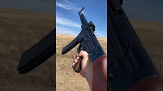 Mauser STG44 22lr reproduction blueline solutionsMauser STG [upl. by Kalie]