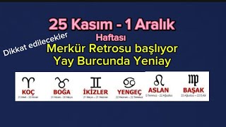 🍀25 Kasım1 Aralık haftası burç yorumları [upl. by Presley892]