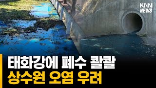 태화강에 폐수 콸콸 상수원 오염 우려 [upl. by Nahsab]