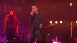 Alcaline le Mag  Alain Chamfort  La Fièvre dans le Sang en live [upl. by Hayyikaz]