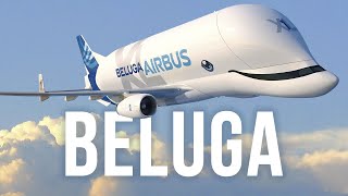 BelugaXL  Lavion le plus fou dAirbus [upl. by Riccio]