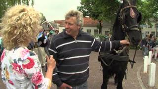 Paardenmarkt Rijnsburg 2013 [upl. by Sorodoeht]