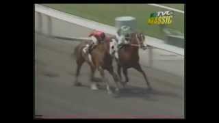 MATCH RACE  Quarter Horse vs Thoroughbred [upl. by Namilus146]