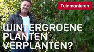 Hoe en wanneer verplant je wintergroene planten  Herfst  Tuinmanieren [upl. by Vacla]