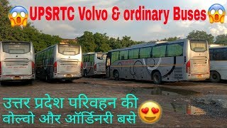 UPSRTCs Volvo amp ordinary Buses at Sahibabad bus Depot  ↘️↘️↘️↘️ [upl. by Nivonod]