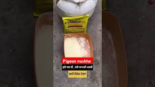 Tetracycline Powder Use in winter trending shorts viralvideo deeppigeonaccessories kabootar [upl. by Icul929]