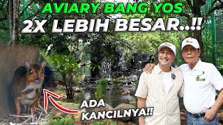 PERESMIAN AVIARY BANG YOS  2X LIPAT DARI AVIARY GW [upl. by Nowad717]