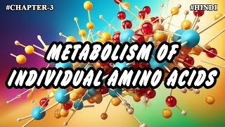 Chapter  3  Metabolism Of Individual Amino Acids Part3  Hindi [upl. by Enialahs]