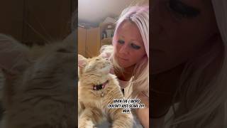 The L word that scares everyone away 😂 funnyvideo viralvideo catsofyoutube cat contentcreator [upl. by Sylvan943]