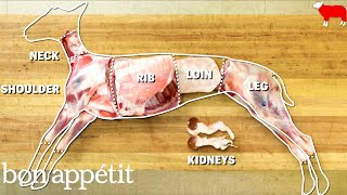 How to Butcher an Entire Lamb Every Cut of Meat Explained  Handcrafted  Bon Appetit [upl. by Lime]