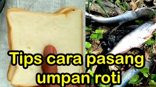 Tips cara pasang umpan roti untuk mancing patin [upl. by Paley933]