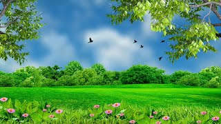 Nature background video effect  landscape background hd [upl. by Amabil]