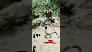 CRPF amp cobra 🪖 commandos 🇮🇳 viralshortvideo like and subscribe YouTube channel ♥️🙏 crpf [upl. by Iggy]