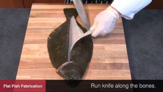 How To Fabricate Flat Fish [upl. by Eissac212]