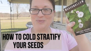 How to Cold Stratify Seeds [upl. by Roban]