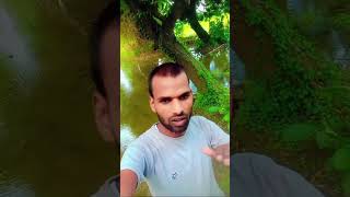 aandhiyan tham gai Karma bhi ruke new Hindi hit song 2024 short video vijaykumar8080vk [upl. by Atnohs]