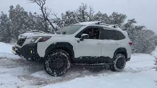 Two Forester Wilderness Offroad in the Snow [upl. by Aserej592]