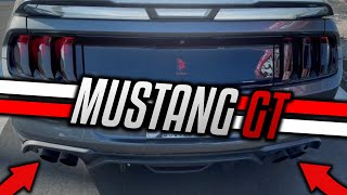 BEST Sounding EXHAUST for the 50 Mustang GT  Steeda H Pipe [upl. by Wavell]