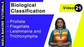 Biological Classification  NEET  Protista  Flagellata  Leishmania amp Trichonympha  Neela Bakore [upl. by Llerdnad]