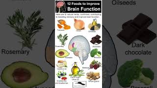 Brain function foodplease subscribe for more videos [upl. by Kcirddes]