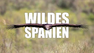 Wildes Spanien  Kurzfilm [upl. by Adel]