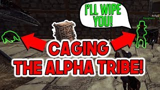 WE CAGED THE ALPHA TRIBE  Official PvP Small Tribes  ARK Survival Evolved [upl. by Tioneb361]