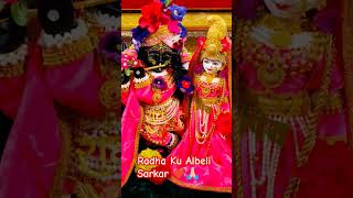 Radha Ku Alb el I Sarkar ❤🙏🏻 music love bollywoodsongs song love music shorts radha yt [upl. by Salema57]