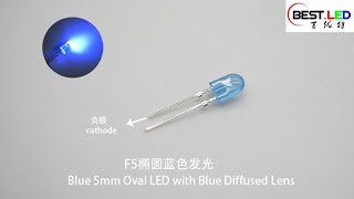 Blue 5mm Oval LED with Blue Diffused Lens [upl. by Dnomyad]