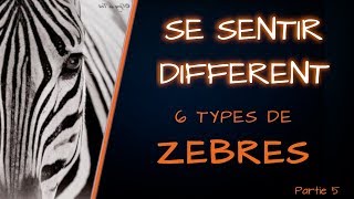 🦓 6 TYPES DE ZEBRES se sentir différent partie 5 [upl. by Esyahc267]