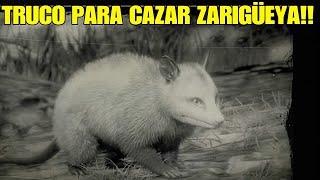 ⚠️TRUCO cazar ZARIGÜEYA fácil red dead redemption 2 rdr2 [upl. by Aneeuqahs]