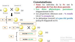 génétique 2éme année snv 08 [upl. by Nnylrac]