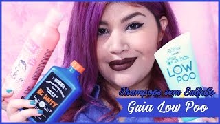 Guia Low Poo Os melhores Shampoos sem sulfato [upl. by Alle610]