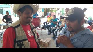 Banda de música de viento de Platanar Ayutla Guerrero [upl. by Naffets]