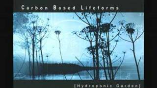 Carbon Based Lifeforms MOS 6581 [upl. by Ayenet]