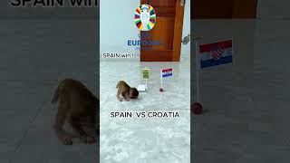 Spain vs Croatia euro 2024 who will be the winner euro2024predictionstrendingshortsfootball [upl. by Eeliak]